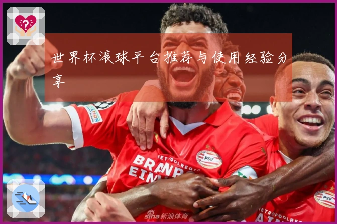 世界杯滚球平台推荐与使用经验分享