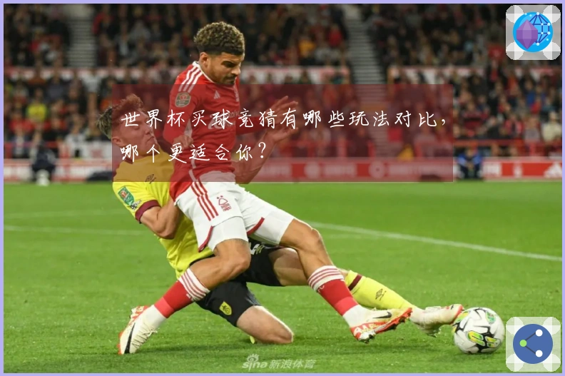 世界杯买球竞猜有哪些玩法对比，哪个更适合你？