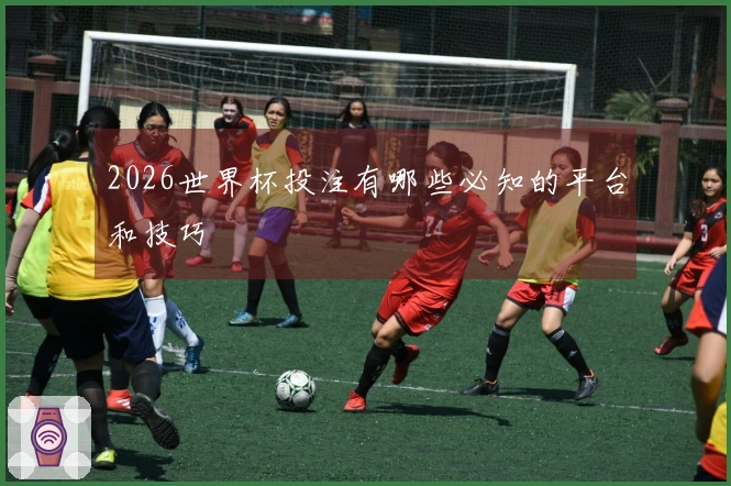 2026世界杯投注有哪些必知的平台和技巧