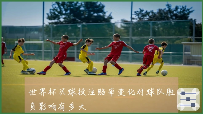 世界杯买球投注赔率变化对球队胜负影响有多大