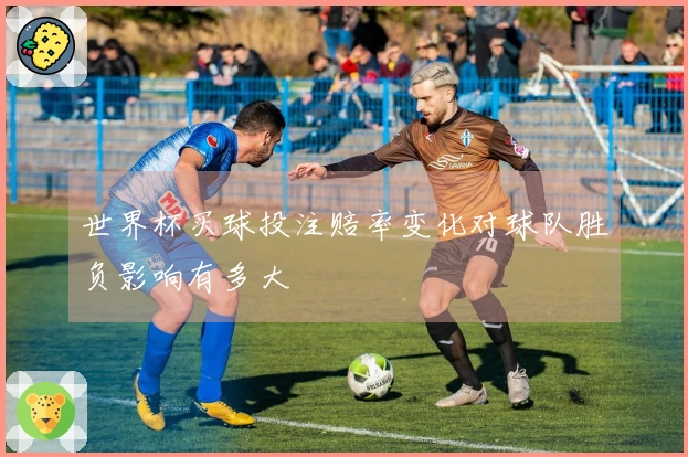世界杯买球投注赔率变化对球队胜负影响有多大