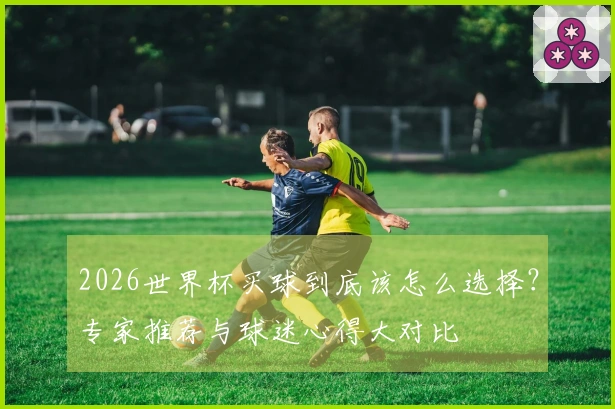 2026世界杯买球到底该怎么选择?专家推荐与球迷心得大对比