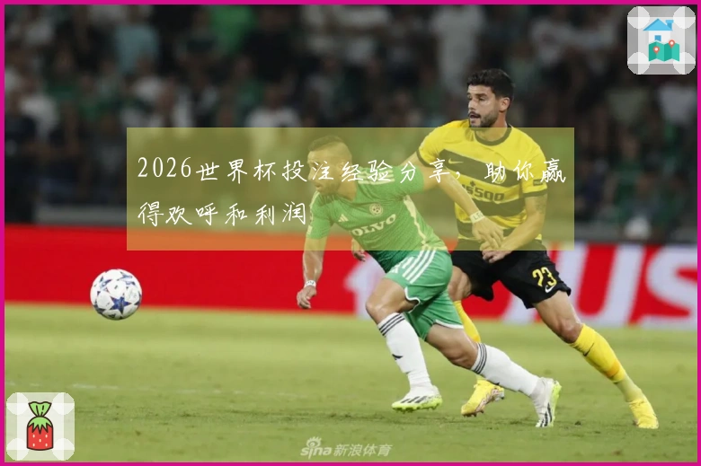 2026世界杯投注经验分享，助你赢得欢呼和利润
