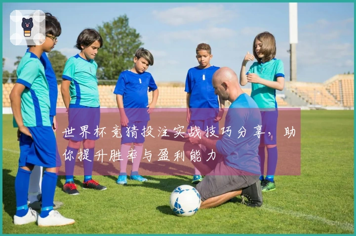 世界杯竞猜投注实战技巧分享，助你提升胜率与盈利能力