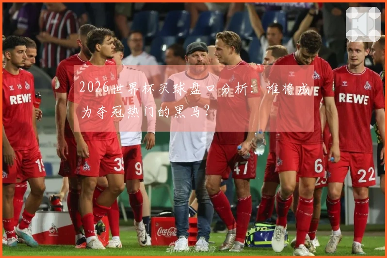 2026世界杯买球盘口分析：谁将成为夺冠热门的黑马？