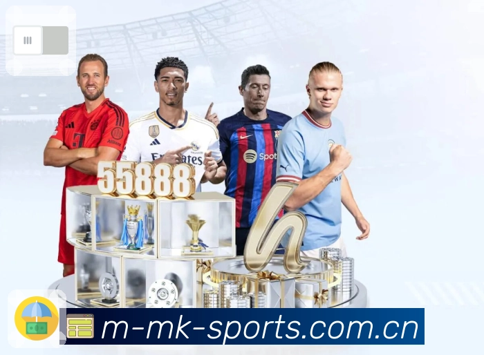 MK体育 Sports 官方视觉图